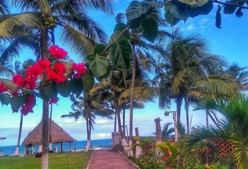 فندق Costa Belle