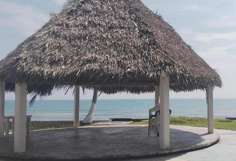 فندق Costa Belle