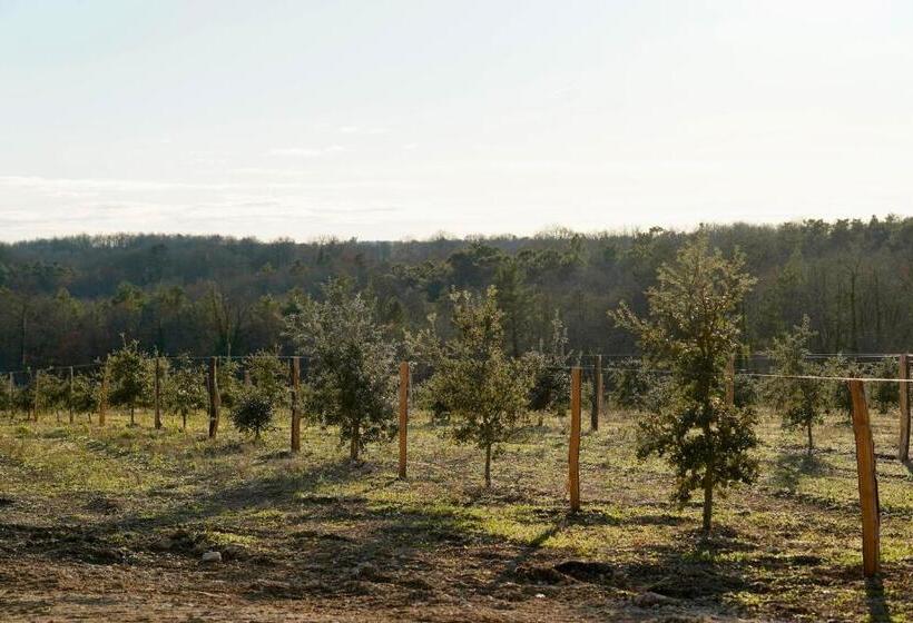 פנסיון Domaine Truffier Du Grand Merlhiot