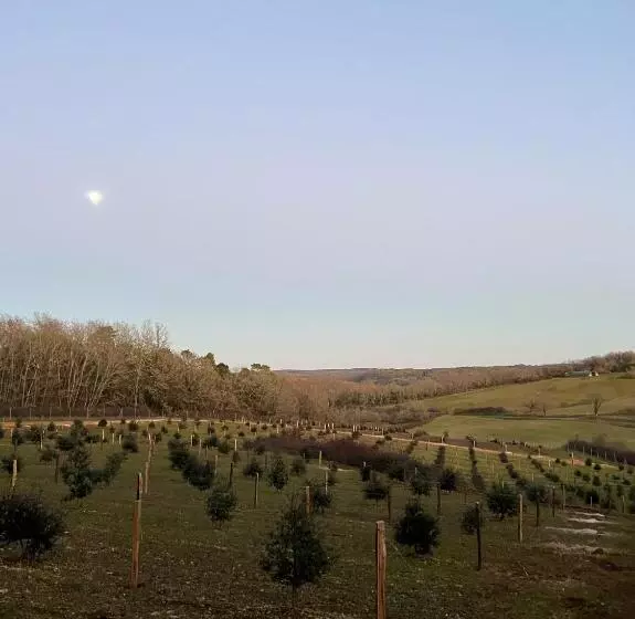 Majatalo Domaine Truffier Du Grand Merlhiot