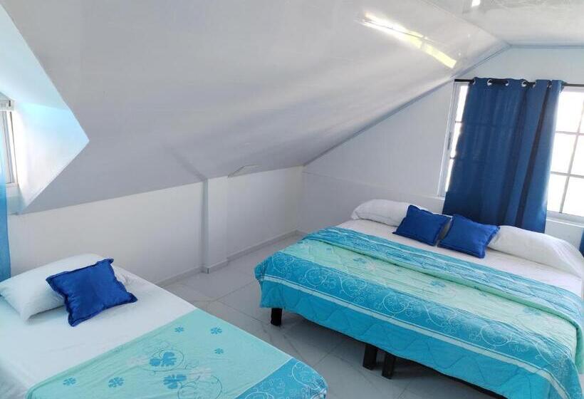 هاستل Posada Shalain