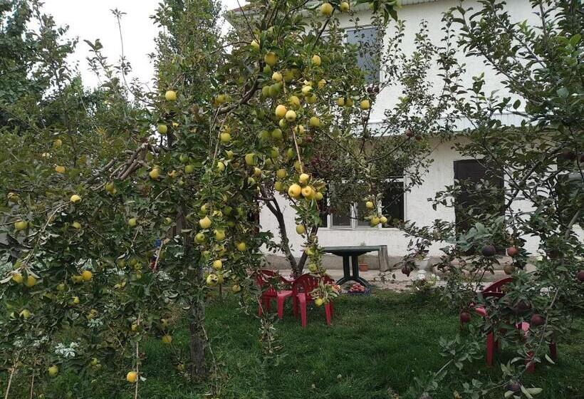 هاستل Talants Guest House