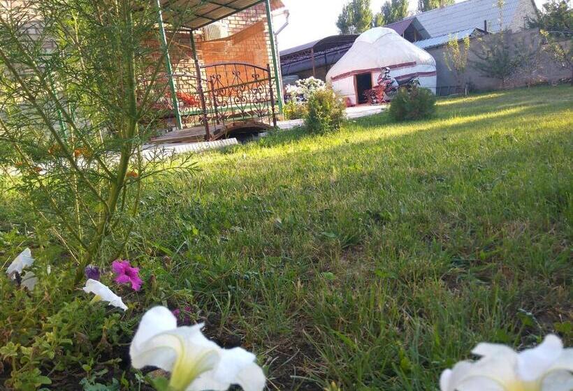 هاستل Talants Guest House