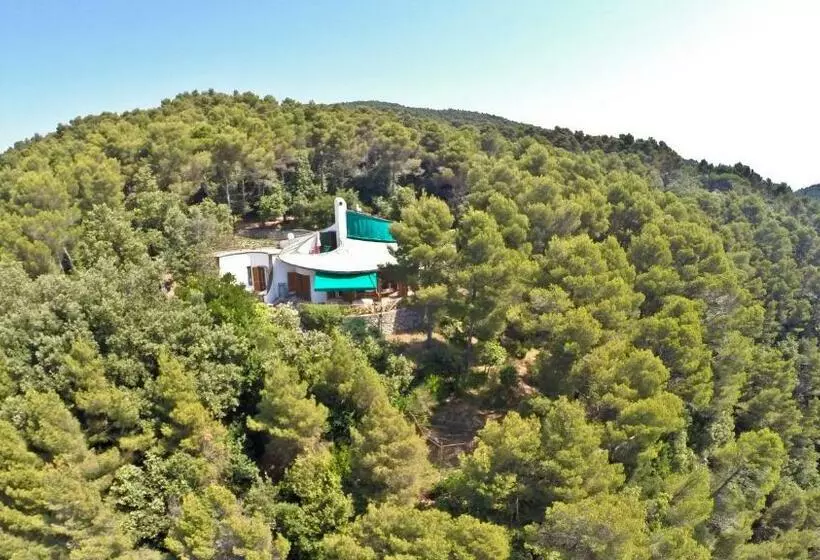 B&b Al Cavalluccio Marino