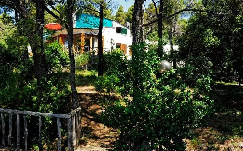 B&b Al Cavalluccio Marino