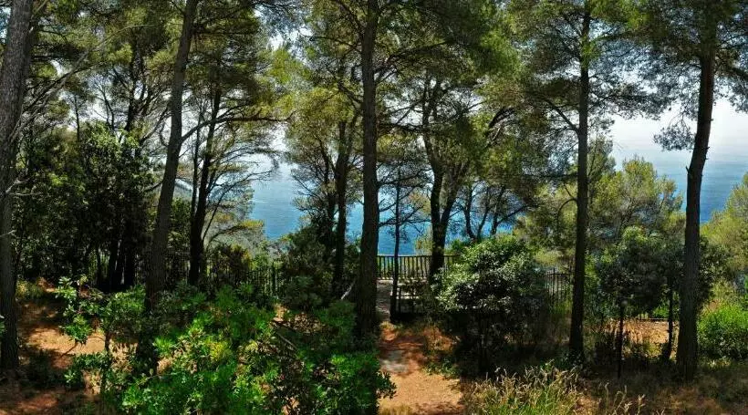 B&b Al Cavalluccio Marino