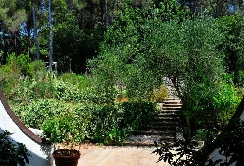 B&b Al Cavalluccio Marino