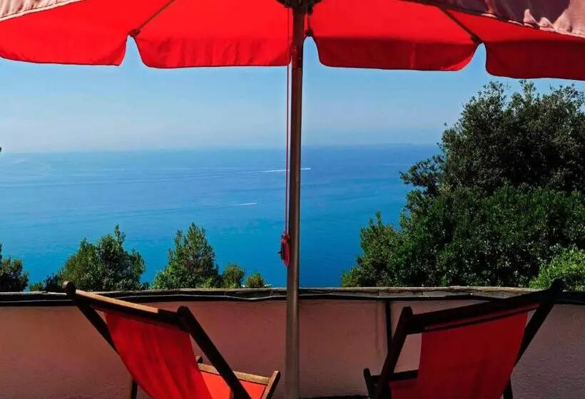 B&b Al Cavalluccio Marino