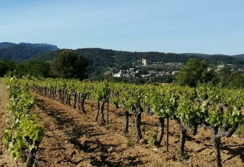 Aamiaismajoitus (B&B) Au Villadior   Vaison La Romaine