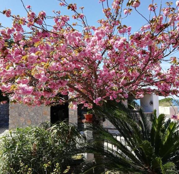 Bed and Breakfast La Tela Di Penelope