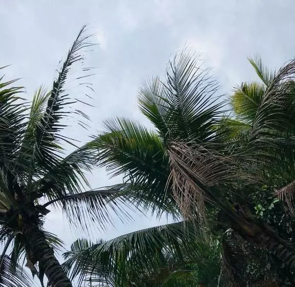 ペンション Chacara Recanto Paraiso