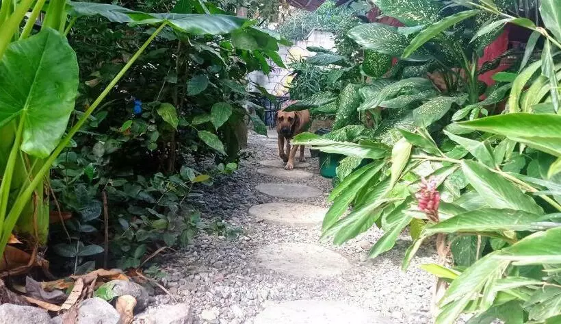 Majatalo La Happycleta