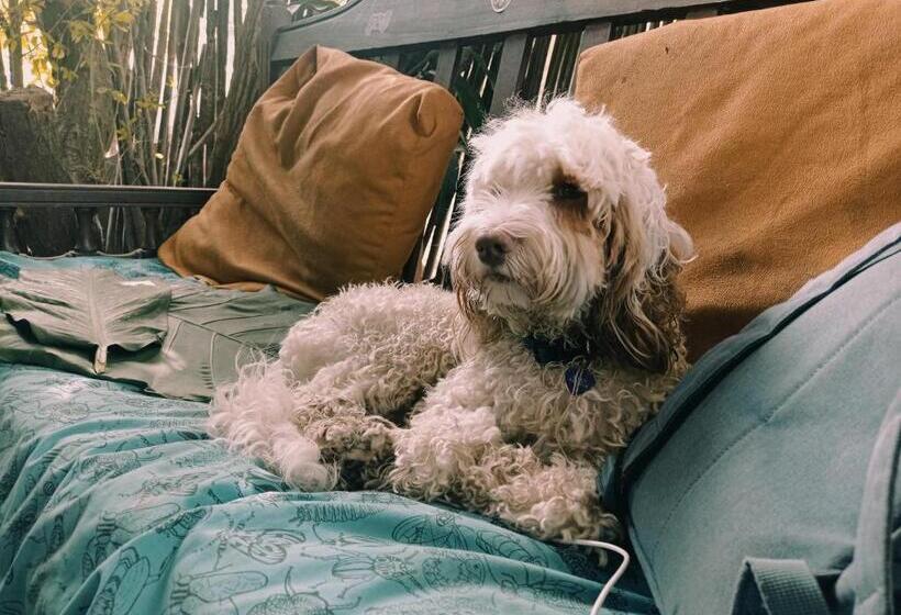 پانسیون La Happycleta