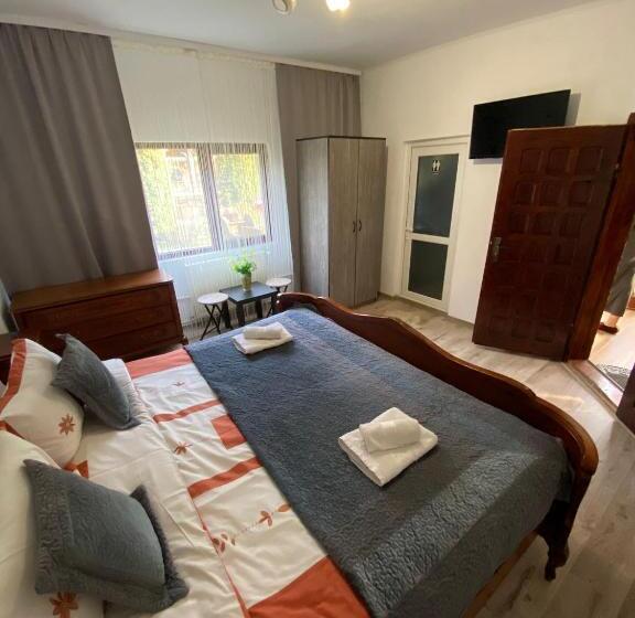 Pensiunea Scarisoara