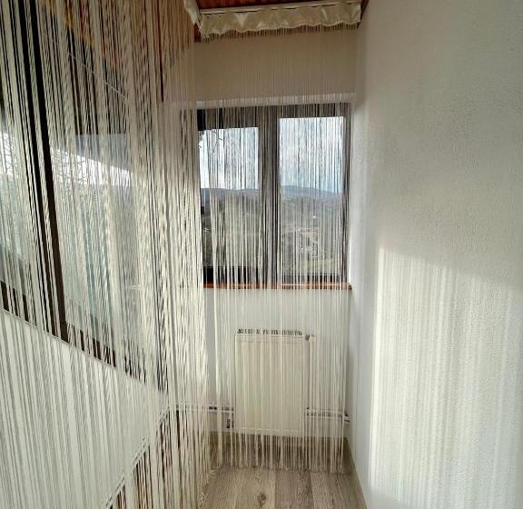 Pensiunea Scarisoara