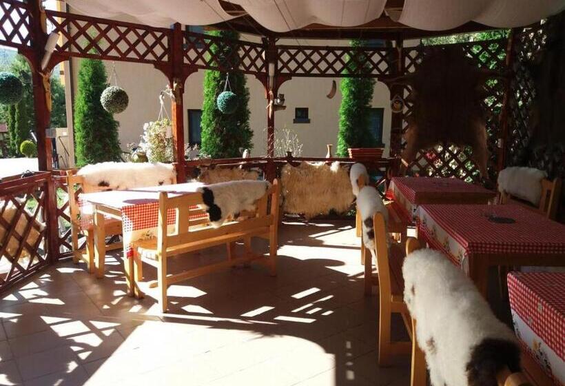 Pensiunea Scarisoara