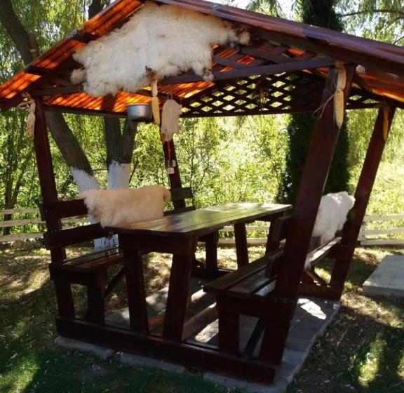 Pensiunea Scarisoara