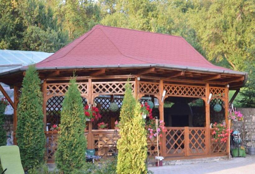 Pensiunea Scarisoara