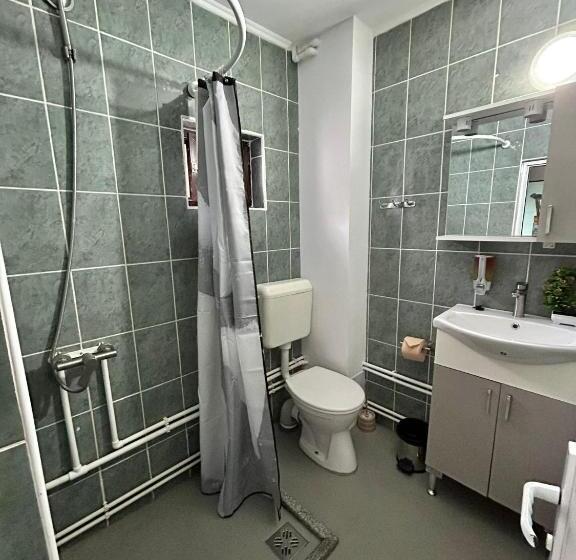 Pensiunea Scarisoara