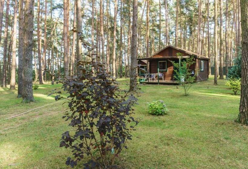 リゾートホテル Urlaub Im Bungalow Mitten Im Wald