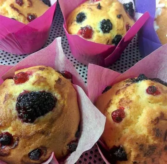 Country Hotel Al Gallo