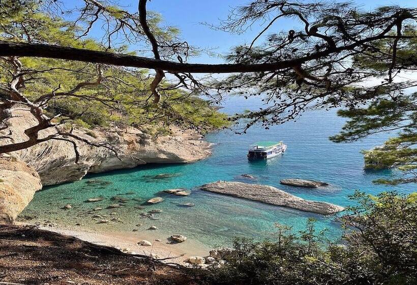 Grand Mir Amor Hotel   Ultra All Inclusive