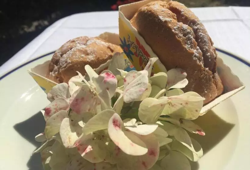 בית מלון כפרי Claila