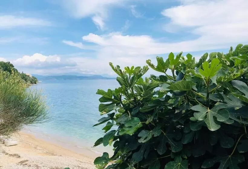 호텔 Glyfa Beach Villas