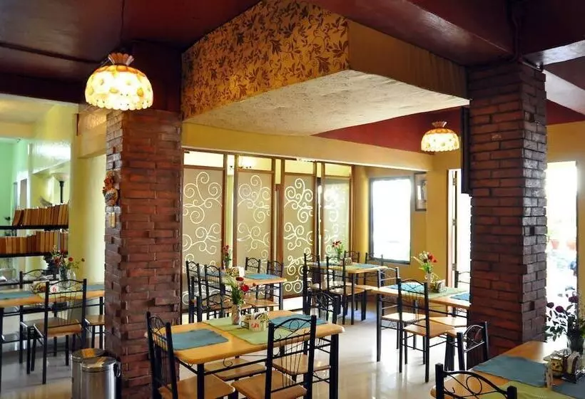 בית מלון כפרי Pacific Pensionne