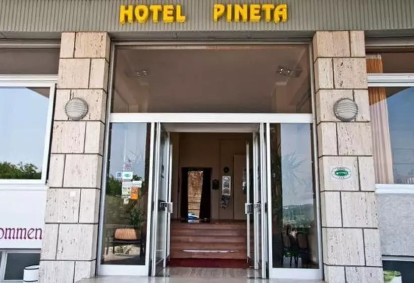 酒店 Pineta