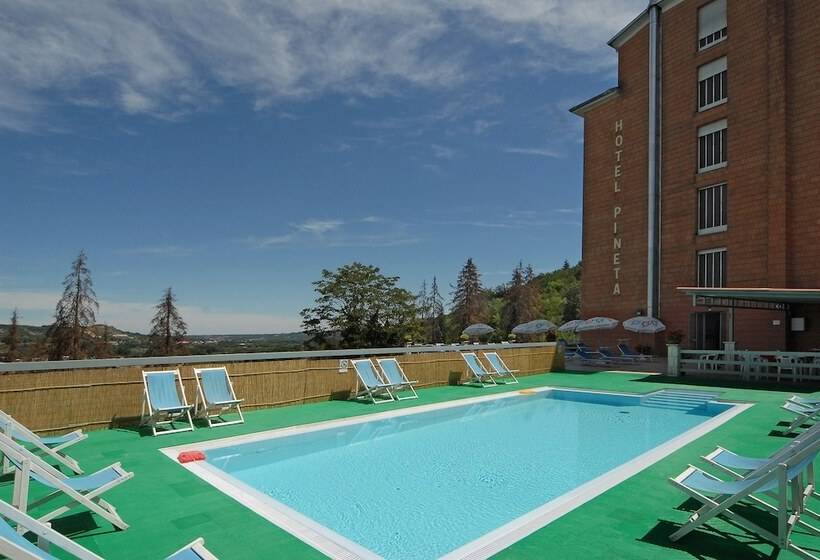 فندق Pineta