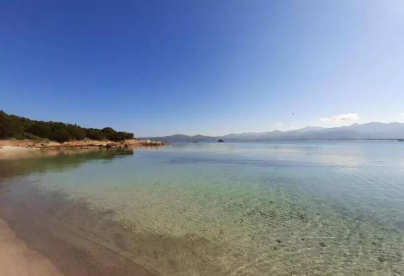 レジデンス Sole E Sale 2