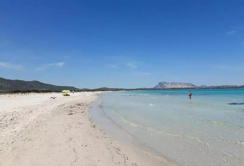 レジデンス Sole E Sale 2