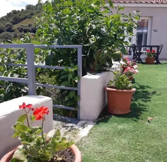 レジデンス Sole E Sale 2