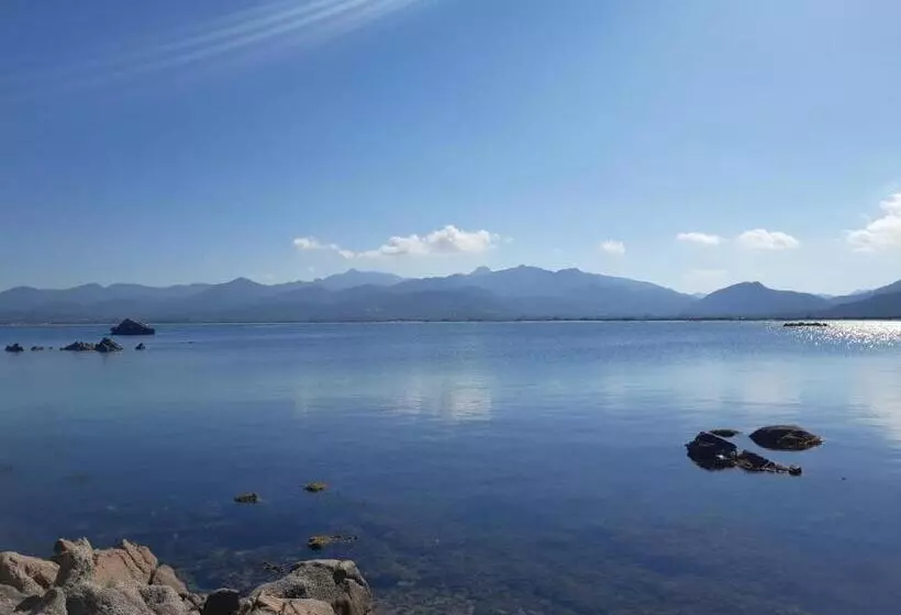 レジデンス Sole E Sale 2