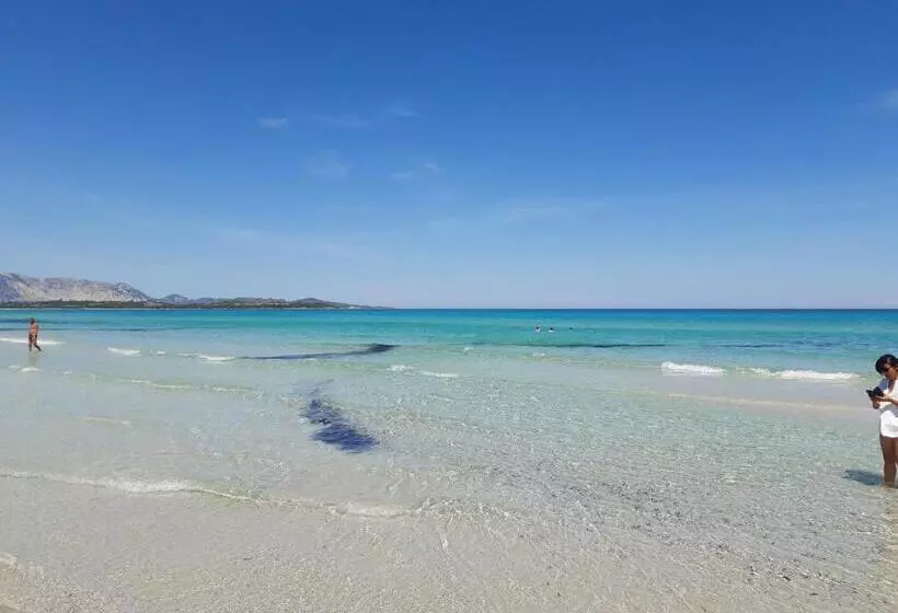 レジデンス Sole E Sale 2