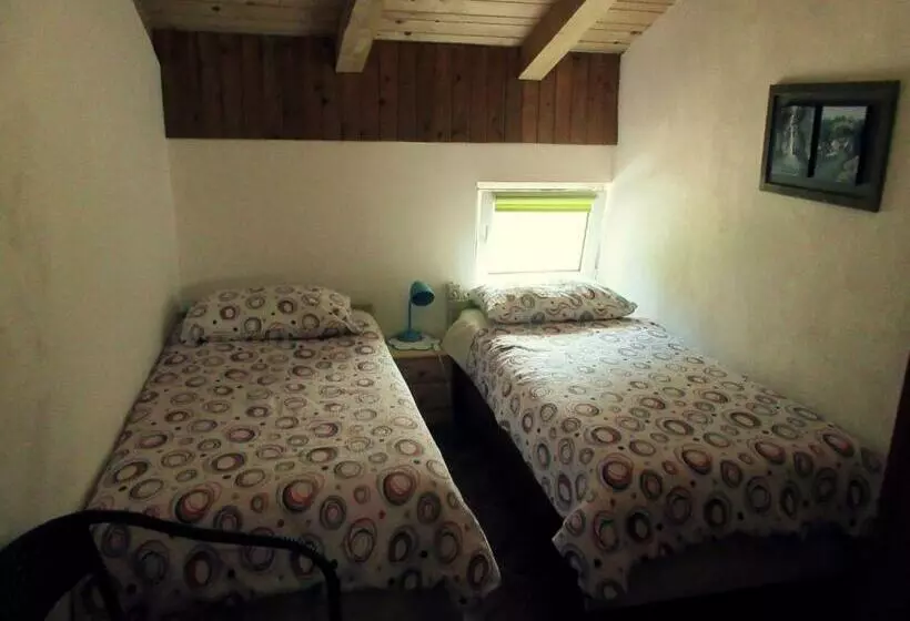 هاستل Kamp Rut