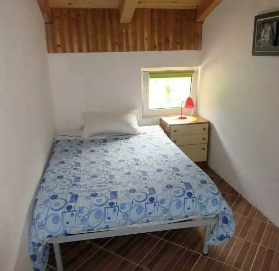 هاستل Kamp Rut