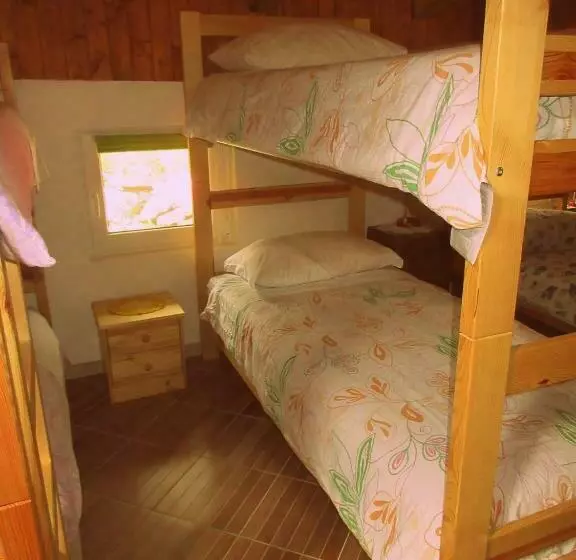 هاستل Kamp Rut
