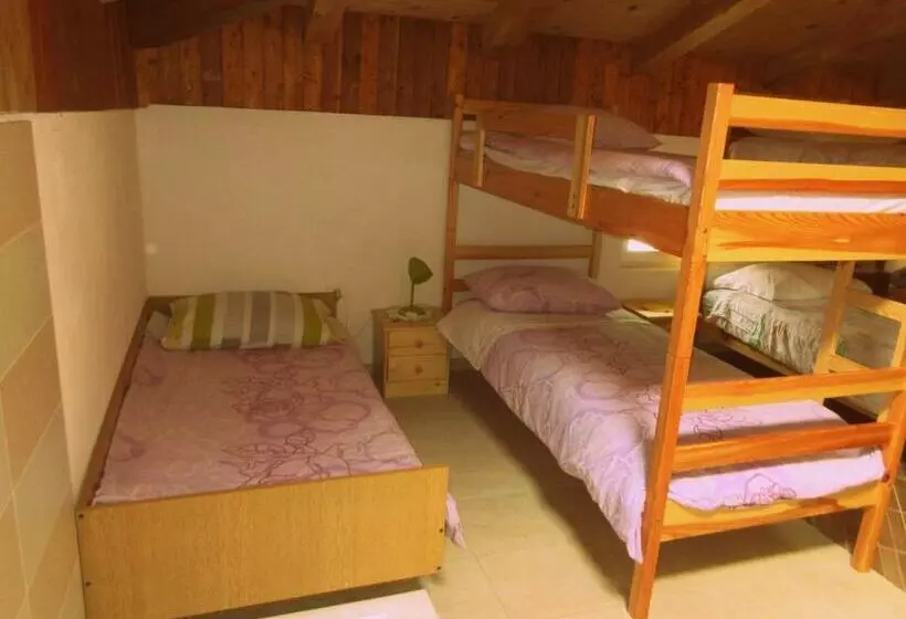 هاستل Kamp Rut
