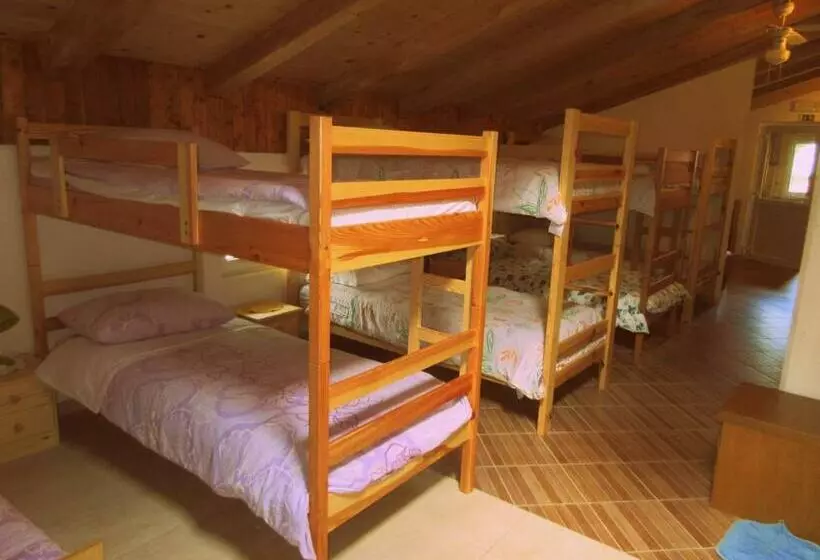 هاستل Kamp Rut