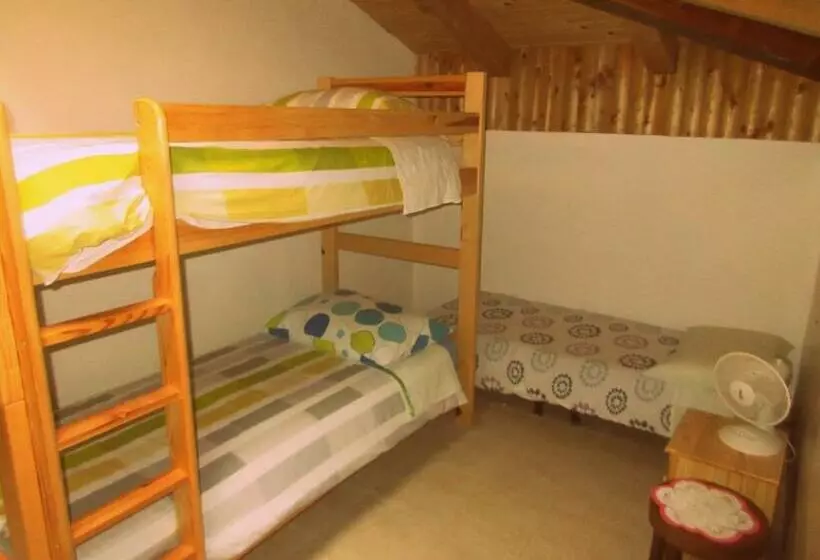 هاستل Kamp Rut