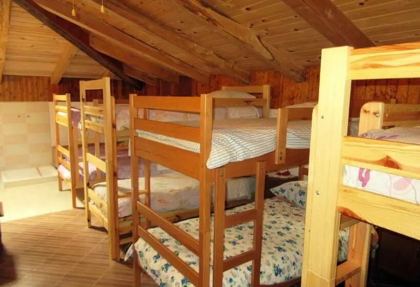 هاستل Kamp Rut