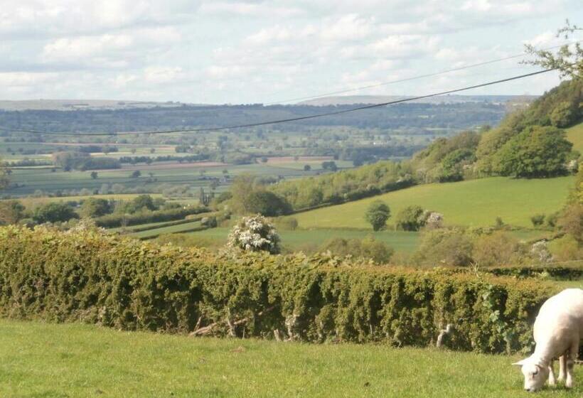 Bed and Breakfast Highfield