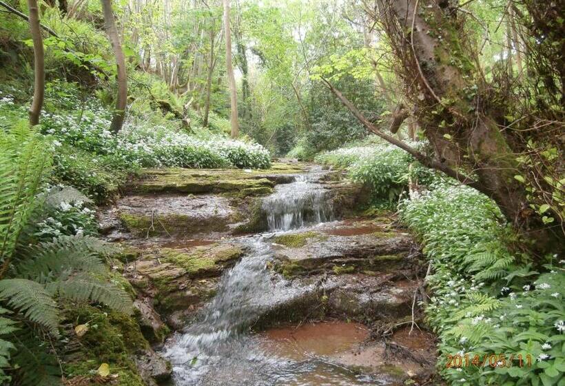 Bed and Breakfast Highfield