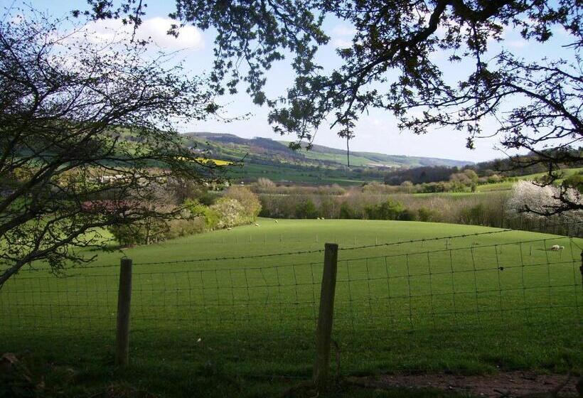 Bed and Breakfast Highfield