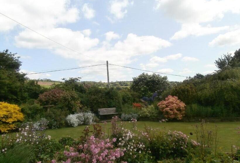 Bed and Breakfast Highfield