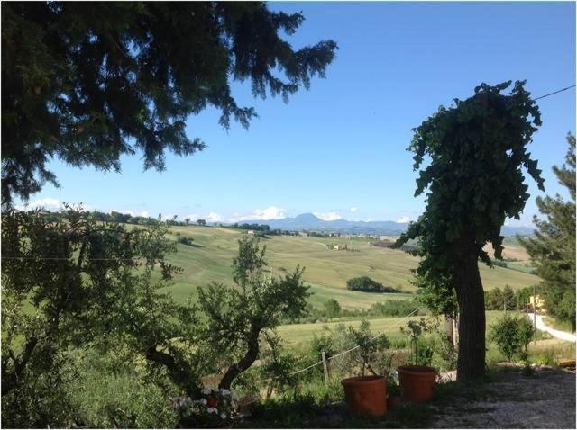 בית מלון כפרי All Ombra Degli Ulivi B&b