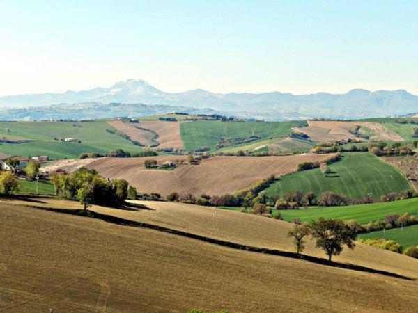 בית מלון כפרי All Ombra Degli Ulivi B&b