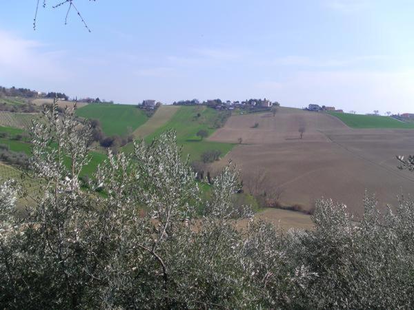 בית מלון כפרי All Ombra Degli Ulivi B&b